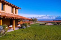 Knowing the land of Malbec, tasting wine and lunch in Luján de Cuyo