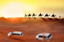 Premium Desert Safari with 45 Minutes of Dune Bashing, BBQ Dinner & Belly Dance