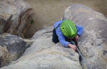 Family Rock Climbing Trips in Joshua Tree National Park (8 Hours)