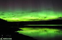 Aurora Hunting Tours