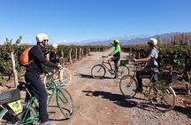 Bike, wines & lunch at Luján de Cuyo (Mendoza)