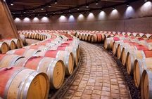 Knowing the land of Malbec, tasting wine and lunch in Luján de Cuyo