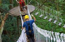 Big Island Kohala Zip and Dip Tour from Kona