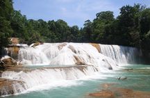 PALENQUE RUINS, AGUA AZUL and MISOL-HA (Private)