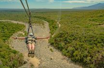 Outdoor Ziplining and UTV Adventure from Los Cabos