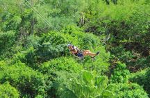 Outdoor Ziplining and UTV Adventure from Los Cabos
