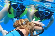 Ko Olina Catamaran Sail and Snorkel