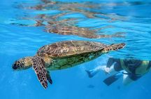 Ko Olina Catamaran Sail and Snorkel