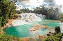 PALENQUE RUINS, AGUA AZUL and MISOL-HA (Private)