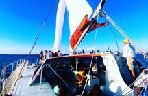 Afternoon Sightseeing and Sailing Tour