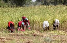 Bishnoi Village Safari 