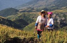 Longsheng Rice Terraces 1-night Accommodation with 2-way Transfer from Guilin