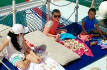 Beach Island Shelling Cruise to Keewaydin Island Tour