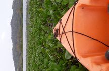 Kayaking tour in the Chagres River