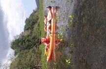 Kayaking tour in the Chagres River