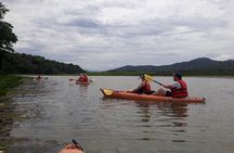 Kayaking tour in the Chagres River