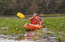 Kayaking tour in the Chagres River