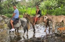 Authentic Fijian Day Tour