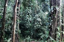  The Ultimate Hiker’s Choice - 5 days forest trek with homestay and camping