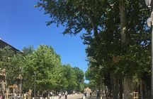 Aix en Provence City Walking Tours. English Language