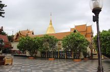 Private! Morning alms&Doi suthep&Wat Umong + Monjam & Hill tribe& Royal Project