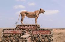 Nairobi National Park Half-Day Tour; Free Wi-Fi connection