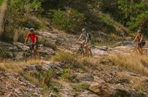 Biking Tour: Supetar - Splitska - Lovrečina - Dol - Postira