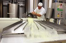 Visit to the dairy