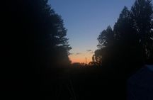 Białowieża Forest Unesco World Heritage Tour Packages (Native English Speaker)