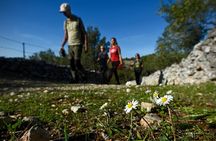 Hiking tour Vidova gora and visiting Museum of olive oil