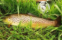 Wild Brown Trout fishing. Lough Corrib. French speaking Ghillie/Guide. Full day.