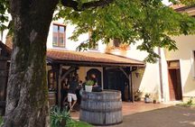 Plesivica countryside Wine Tasting