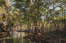 Los Haitises National Park Boat trip + Hiking 2 Hours in The Rain Forest