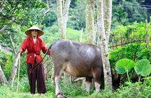 Pu Luong Experience 3 Days Small Group Tour from Hanoi