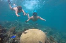 Punta Cana Private Cruise Up To 10 Snorkeling & Seafood lunch 