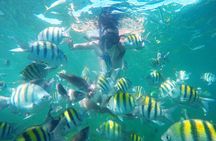 Punta Cana Private Cruise Up To 10 Snorkeling & Seafood lunch 