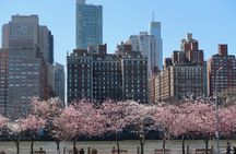 Personalized Experience with your Local Tour Guide