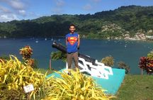 VIP Inclusive Private Tour of Island (Lunch, Drinks + Snorkeling)