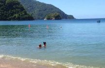 VIP Inclusive Private Tour of Island (Lunch, Drinks + Snorkeling)