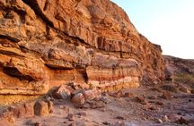 Ramon Crater Jeep Tour from Mitzpe Ramon