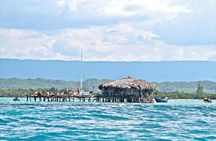 YS Falls and The Pelican Bar Adventure Tour from Montego Bay