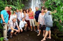 Private Full-Day Tahiti — Grotto, Gardens & Panoramas