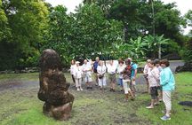 Private Full-Day Tahiti — Grotto, Gardens & Panoramas