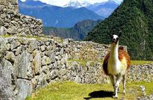4-Day Inca Quarry Trek to Machu Picchu