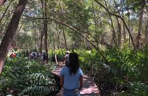Tour to Celestún