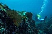 PADI Discover Scuba Diving in Sayulita No Certification Needed