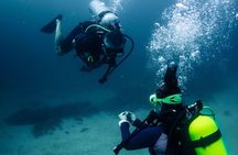 PADI Discover Scuba Diving in Sayulita No Certification Needed