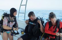 Scuba Diving Yelapa
