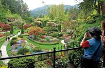 Vancouver->Victoria Tour | Visit Craigdarroch Castle and Butchart Garden Private
