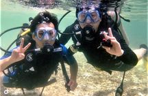Pattaya PADI Scuba Diving Two Exciting Try Dives with PADI Instructor in Pattaya